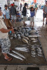 07-Fish market